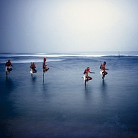 Traditional stilt fishermen in Sri Lanka