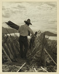 Establishment of rural rehabilitation camps for migrants in California. March 15, 1935. Sourced from the Library of Congress.