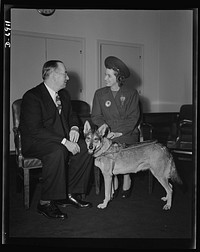 Nelson congratulates a blind worker. For her work in training blind persons for war industries, Miss Helen Hurst, founder of the Helen Hurst Foundation For the Blind, was congratulated by Donald M. Nelson, War Production Board (WPB) chairman. Miss Hurst, herself blind, tries out the various types of jobs to see if they can be done by blind people before she places them in industry. Sourced from the Library of Congress.