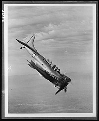 The Douglas A-24 (Dauntless) light dive bomber, is the Army counterpart of the Navy SBD, with certain modifications to meet Army requirements. It was designed for dive-bombing operations against ground troops and installations. It is equipped with slotted diving flaps to decrease air speed and obtain greater accuracy. The Dauntless is more maneuverable than the German Stuka and is capable of carrying heavier bomb loads. Sourced from the Library of Congress.