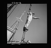 Victory food from American waters. A lookout climbs the cables high above Old Glory's deck to check on location of other trawlers. When one trawler strikes good fishing ground the captain notifies other boats in the fleet. Sourced from the Library of Congress.