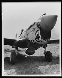 Aircraft. Army. One of the redoubled "Flying Tigers" ready to take off from an Alaskan point in a Curtis P-40 "Warhawk" fighter plane. The group to which he belongs is commanded by Major John Chennault, son of the famous general. Planes of the series to which this belongs have seen action in almost every known theatre in England and. Sourced from the Library of Congress.