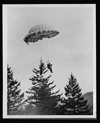 Forest fire fighter. Para-fireman. This parachutist fights timber fires for the U.S. Forest Service. Much of his equipment is similar to that used at the battlefronts, since he encounters many of the same perils. Sourced from the Library of Congress.