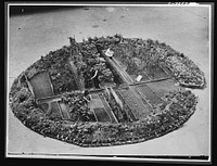 Victory Gardens--for family and country. A thriving Victory Garden--not on an island, but in a London bomb crater, close to Westminster Cathedral. Where the Nazi's sowed death, a Londoner and his wife have sown life-giving vegetables. Sourced from the Library of Congress.
