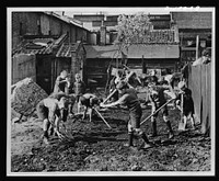 Food in England. Boys' club members clear away the debris from a bombed area in England prepare the land for vegetable gardening. Many bombed areas have been cleared and turned into allotment or community gardens. Sourced from the Library of Congress.