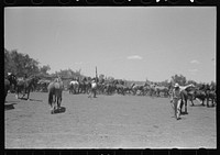 Horses in the corral. Cattle ranch near Spur, Texas. On cattle ranches at least five horses are needed for every cowboy by Russell Lee