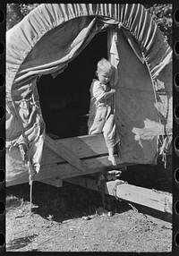 Son of white migrant stepping from covered wagon-type trailer, Wagoner County, Oklahoma by Russell Lee