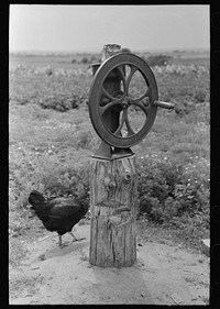 Corn grinder on tenant's farm near Warner, Oklahoma by Russell Lee