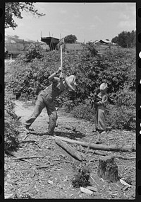 Children of day laborer chopping wood near Webber Falls, Muskogee County, Oklahoma by Russell Lee