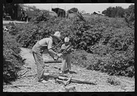 [Untitled photo, possibly related to: Children of day laborer chopping wood near Webber Falls, Muskogee County, Oklahoma] by Russell Lee