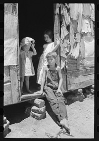 [Untitled photo, possibly related to: Children of agricultural day laborer who was picking up potatoes. The father, an oil field worker, had deserted the family. The shack was near Vian, Oklahoma] by Russell Lee