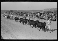 [Untitled photo, possibly related to: Parade of the champions by 4-H Club members at 4-H Club fair, Cimarron, Kansas] by Russell Lee