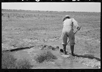 [Untitled photo, possibly related to: Mr. Johnson, FSA (Farm Security Administration) client with part interest in cooperative well, irrigating his fields near Syracuse, Kansas] by Russell Lee