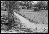 [Untitled photo, possibly related to: Sidewalk in Syracuse, Kansas. The level on the ground on either side of the sidewalk was the same as that of the concrete sidewalk a year ago. The raise in elevation is due to dust and dirt which drifted in] by Russell Lee