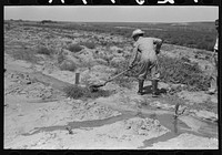 Mr. Johnson, FSA (Farm Security Administration) client with part interest in cooperative well using a makeshift dam of tumbleweeds and board in order to divert water from irrigation ditch to field, Syracuse, Kansas by Russell Lee