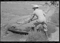 Mr. Johnson, FSA (Farm Security Administration) client with part interest in cooperative well, irrigating. He just built himself a small dam of board and tumbleweed, Syracuse, Kansas by Russell Lee