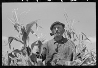 Mr. Wright, tenant farmer of Mr. Johnson and in cooperative with him in irrigation well, standing amidst the corn he has raised this year. Syracuse, Kansas by Russell Lee