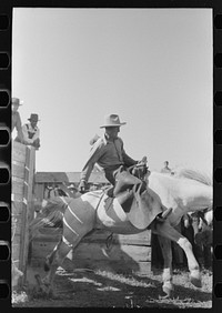 [Untitled photo, possibly related to: Cowboy at Bean Day rodeo, Wagon Mound, New Mexico] by Russell Lee