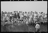 [Untitled photo, possibly related to: Spectators at Bean Day rodeo, Wagon Mound, New Mexico] by Russell Lee