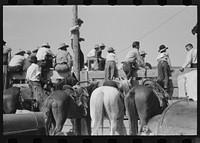 Spectators at Bean Day rodeo, Wagon Mound, New Mexico by Russell Lee