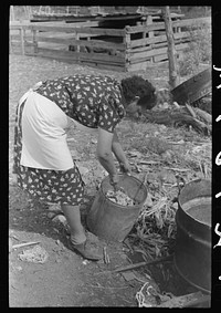 Spanish-American FSA (Farm Security Administration) client breaking up solidified grease before using it in soap making, Taos County, New Mexico. by Russell Lee