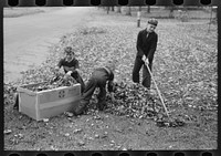 Boy raking up leaves on front lawn, Bradford, Vermont by Russell Lee