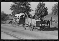 [Untitled photo, possibly related to: Farmer moving in wagon from farm to a new farm. He had stopped for rest and repair along roadside in Smith County, Texas] by Russell Lee