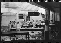 Grading cotton at cotton compress, Houston, Texas by Russell Lee