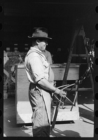 [Untitled photo, possibly related to: Putting grappling hooks on bale of cotton. The bale will be weighed as it swings in the air, suspended by these hooks. Cotton compress, Houston, Texas] by Russell Lee