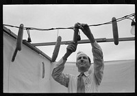 Hamburger stand proprietor hanging up the "foot long buns," county fair, Gonzales, Texas by Russell Lee
