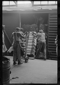 Unloading bale of cotton from freight car at cotton compress, Houston, Texas by Russell Lee