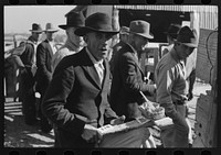 [Untitled photo, possibly related to: Checking in cattle to be sold at auction stockyards, San Angelo, Texas] by Russell Lee