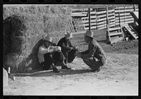 Cattlemen talking at stockyards at San Angelo, Texas by Russell Lee