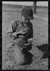 [Untitled photo, possibly related to: Son of Pomp Hall,  tenant farmer, eating  walnuts which were grown on their farm in Creek County, Oklahoma. See general caption number 23] by Russell Lee