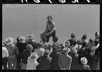 [Untitled photo, possibly related to: Rodeo performer riding Brahma bull at the rodeo of the San Angelo Fat Stock Show, San Angelo, Texas] by Russell Lee