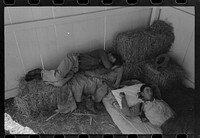 [Untitled photo, possibly related to: Cowboys asleep in horse show barn at San Angelo Fat Stock Show, San Angelo, Texas] by Russell Lee