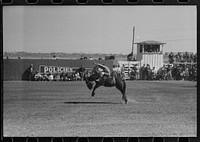 [Untitled photo, possibly related to: Fancy riding demonstration at the rodeo of the San Angelo Fat Stock Show, San Angelo, Texas] by Russell Lee