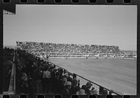 [Untitled photo, possibly related to: The band at the rodeo of the San Angelo Fat Stock Show, San Angelo, Texas] by Russell Lee