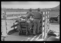 [Untitled photo, possibly related to: Stock salt and cotton seed meal on truck at warehouse of Kimble County, wool and mohair company. Junction, Texas] by Russell Lee