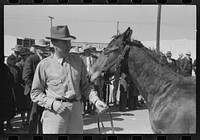 West Texan and his horse which he is displaying in show ring at the San Angelo Fat Stock Show, San Angelo, Texas by Russell Lee