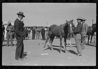 [Untitled photo, possibly related to: West Texan and his horse which he is displaying in show ring at the San Angelo Fat Stock Show, San Angelo, Texas] by Russell Lee