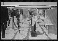 Wife of migratory worker hanging up laundry at the Agua Fria Migratory Labor Camp, Arizona by Russell Lee