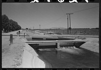 [Untitled photo, possibly related to: Irrigation ditch fed by water from deep-driven wells, Maricopa County, Arizona] by Russell Lee