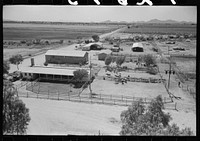 General view of dairy, office building and dairy stock pens at Casa Grande Valley Farms, Pinal County, Arizona by Russell Lee