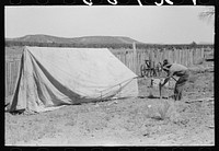 Faro Caudill driving tent posts; the family will live in the tent while the dugout is being rebuilt. Pie Town, New Mexico by Russell Lee