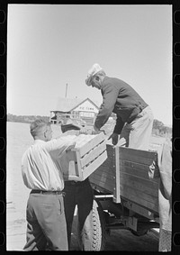Mr. Keele taking crate of grapefruit from truck. General store, Pie Town, New Mexico by Russell Lee