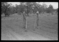 [Untitled photo, possibly related to: Jack Whinery and his daughter covering up beans. Whinery homesteaded with no cash less than a year ago and does not have much equipment; consequently he and his family farm the slow, hard way, by hand. Pie Town, New Mexico] by Russell Lee