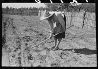 Doris Caudill working in her garden, Pie Town, New Mexico by Russell Lee