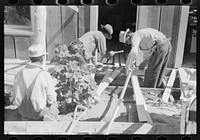 Farmers building porch to Mr. Craig's new house. Mr. Craig pays wages for all work which is done for him. Pie Town, New Mexico by Russell Lee
