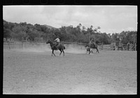 [Untitled photo, possibly related to: Calf roping, rodeo at Quemado, New Mexico] by Russell Lee